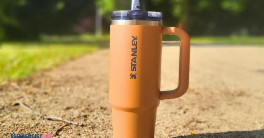 Stanley Quencher H2.0 FlowState Tumbler