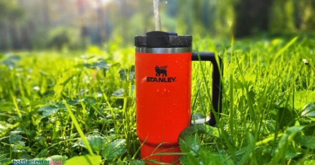 Stanley Quencher H2.0 FlowState Tumbler